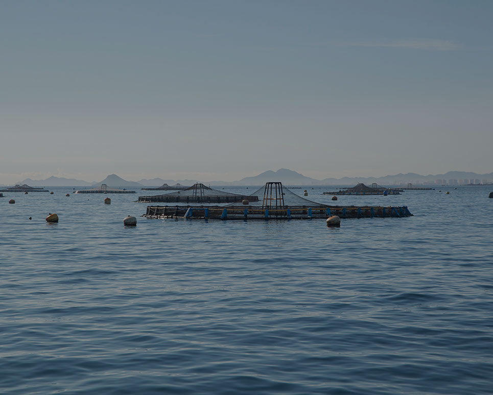 Aquaculture