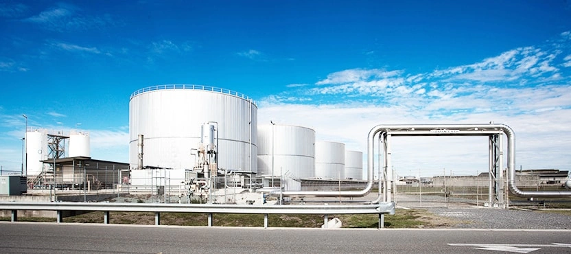 Innovation that brings well-being