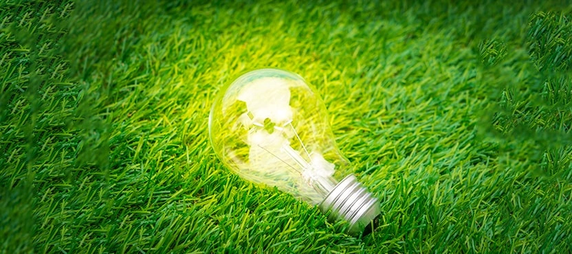 Climate change and environmental protection